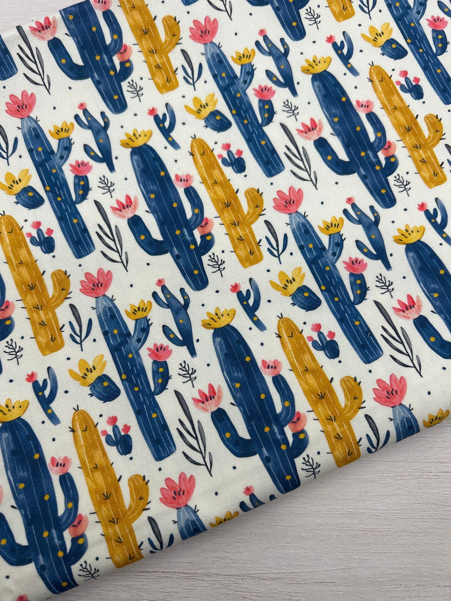 Colourful Cactus - Canvas Fabric
