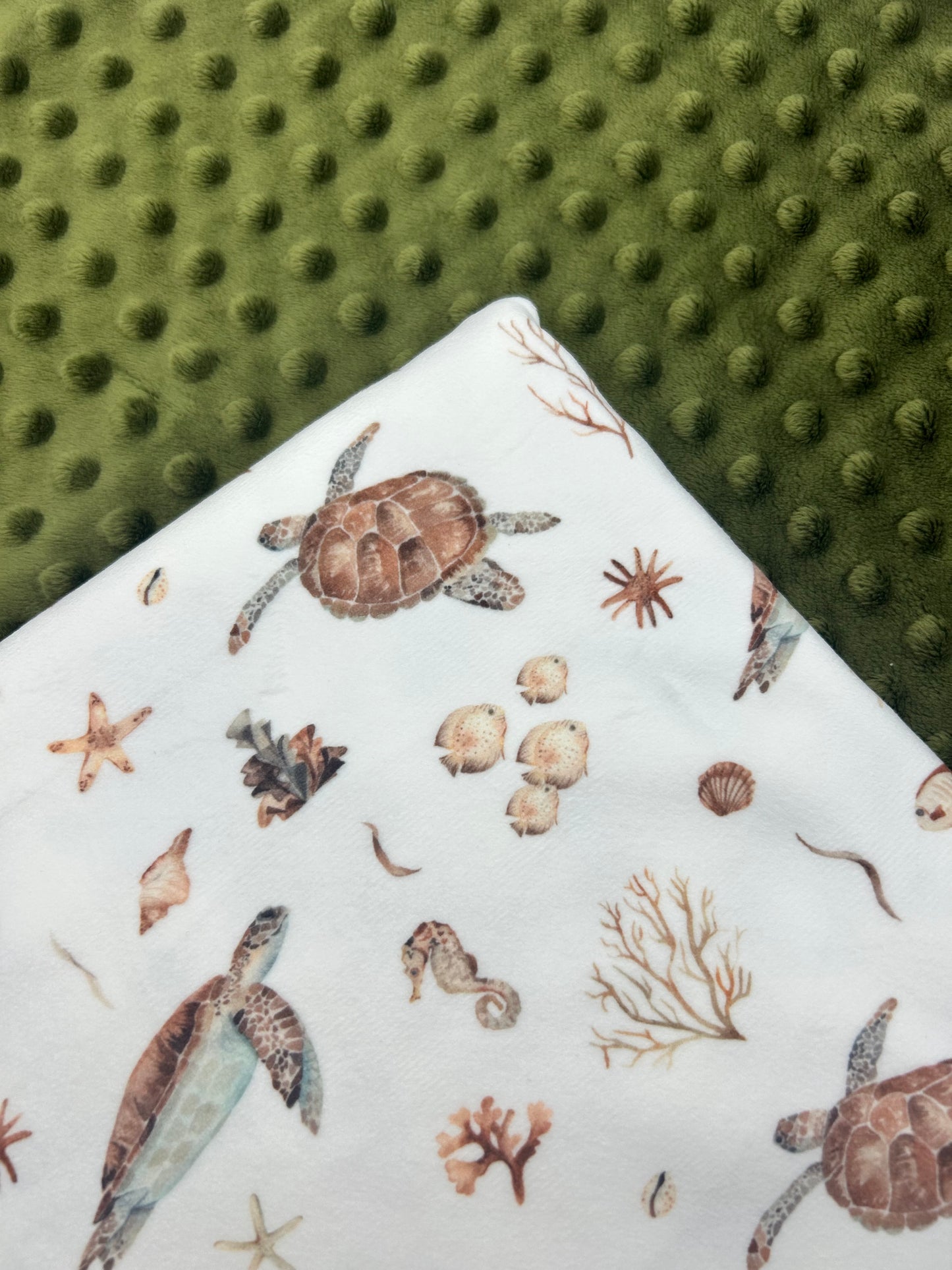 Turtles (September Pre-Order) - Fabric