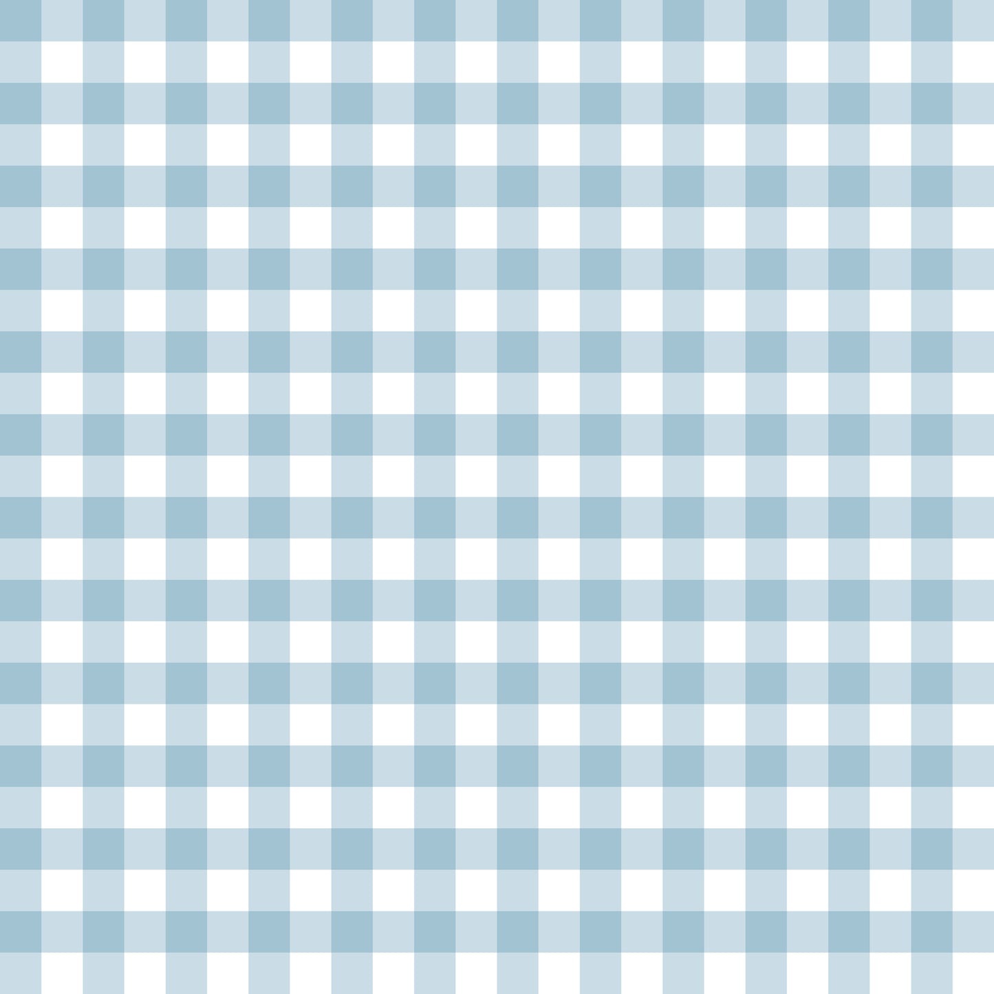 Gingham Airborne - Woven Fabric