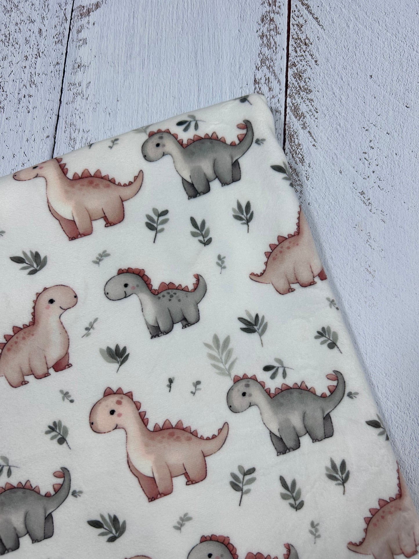 Baby Dinosaur - Minky Fabric