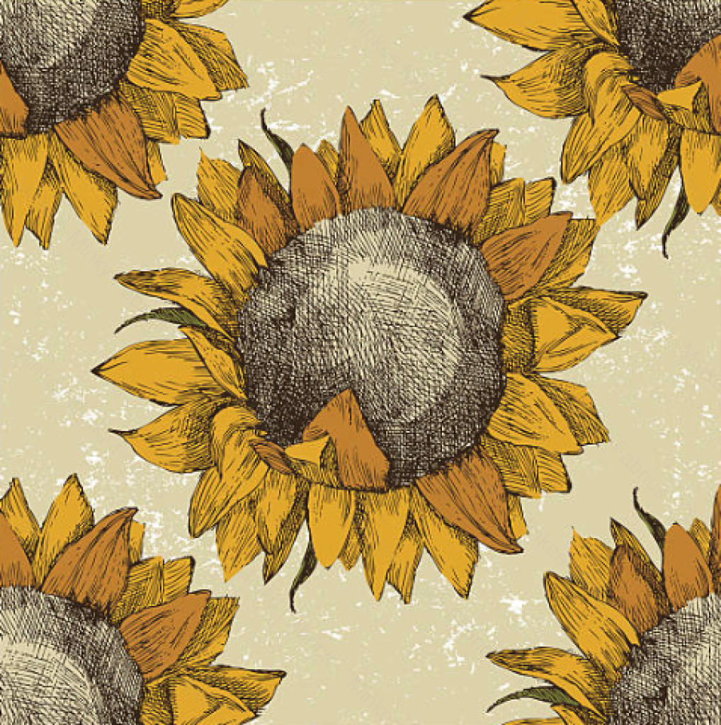 Vintage Sunflower Pre-Order (7Th July) Select Fabric Base / Print Size Digital Preorder