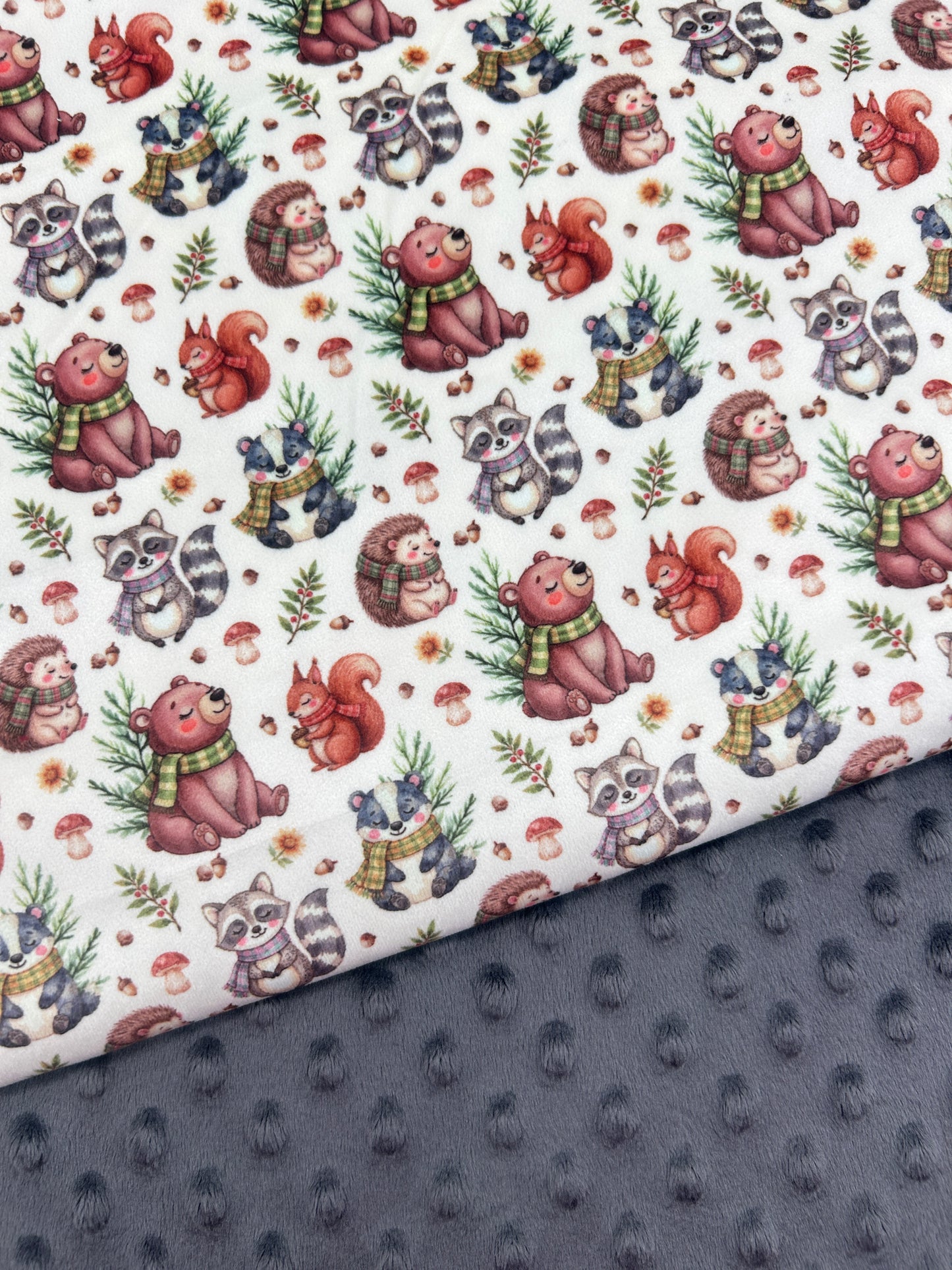 Warm Woodland Creatures (July Pre-Order) - Fabric