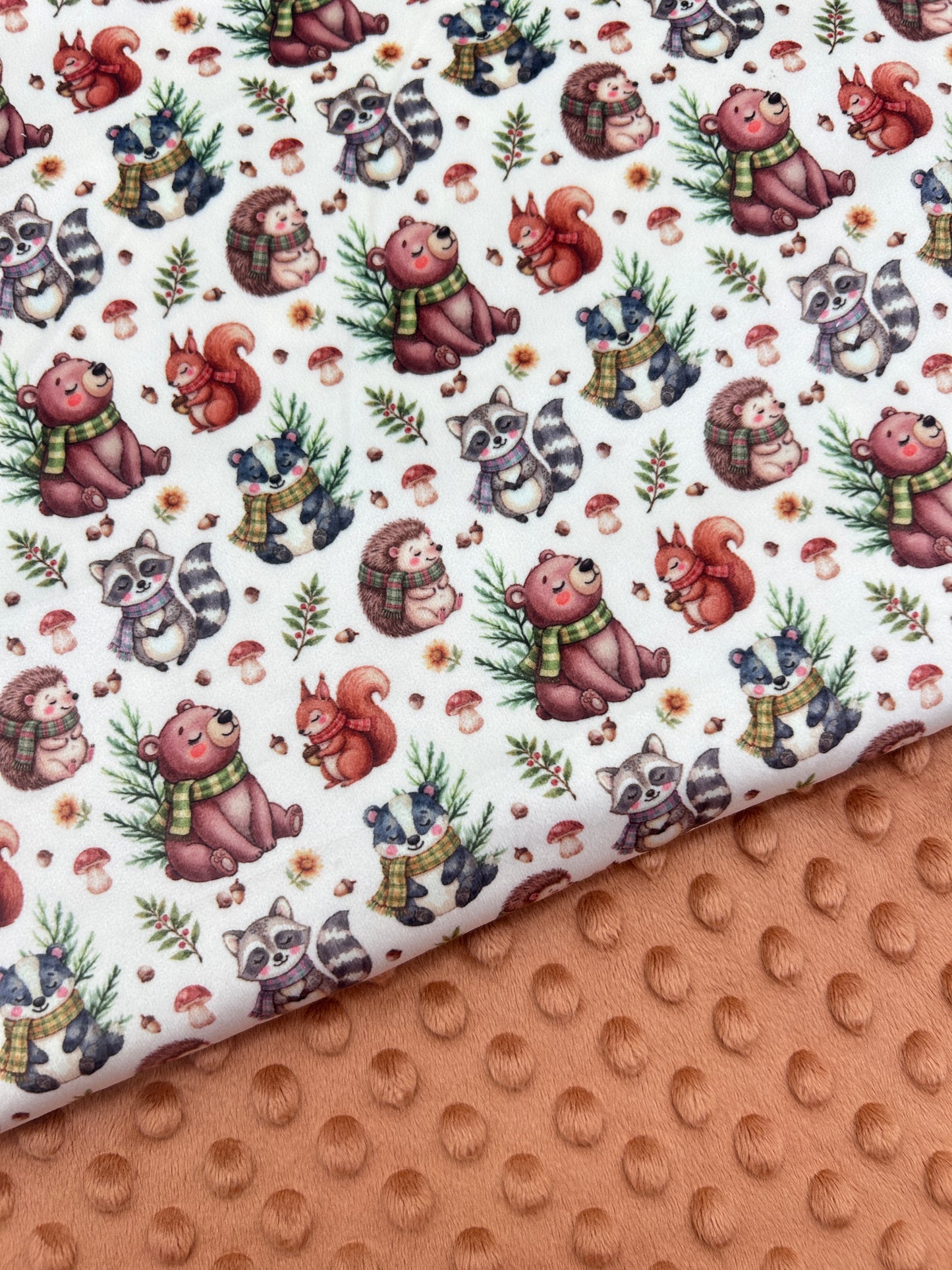 Warm Woodland Creatures (July Pre-Order) - Fabric