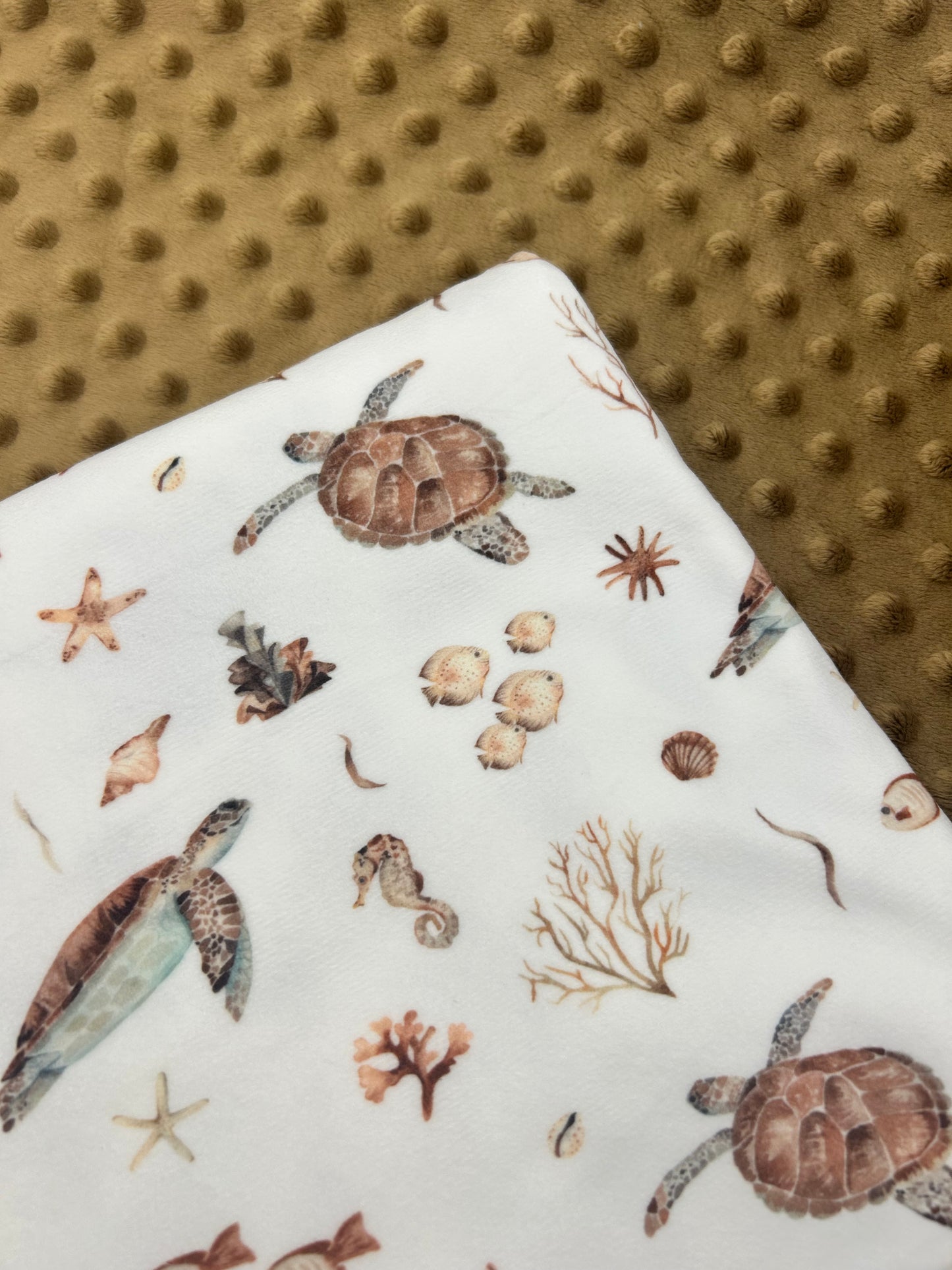 Turtles (September Pre-Order) - Fabric