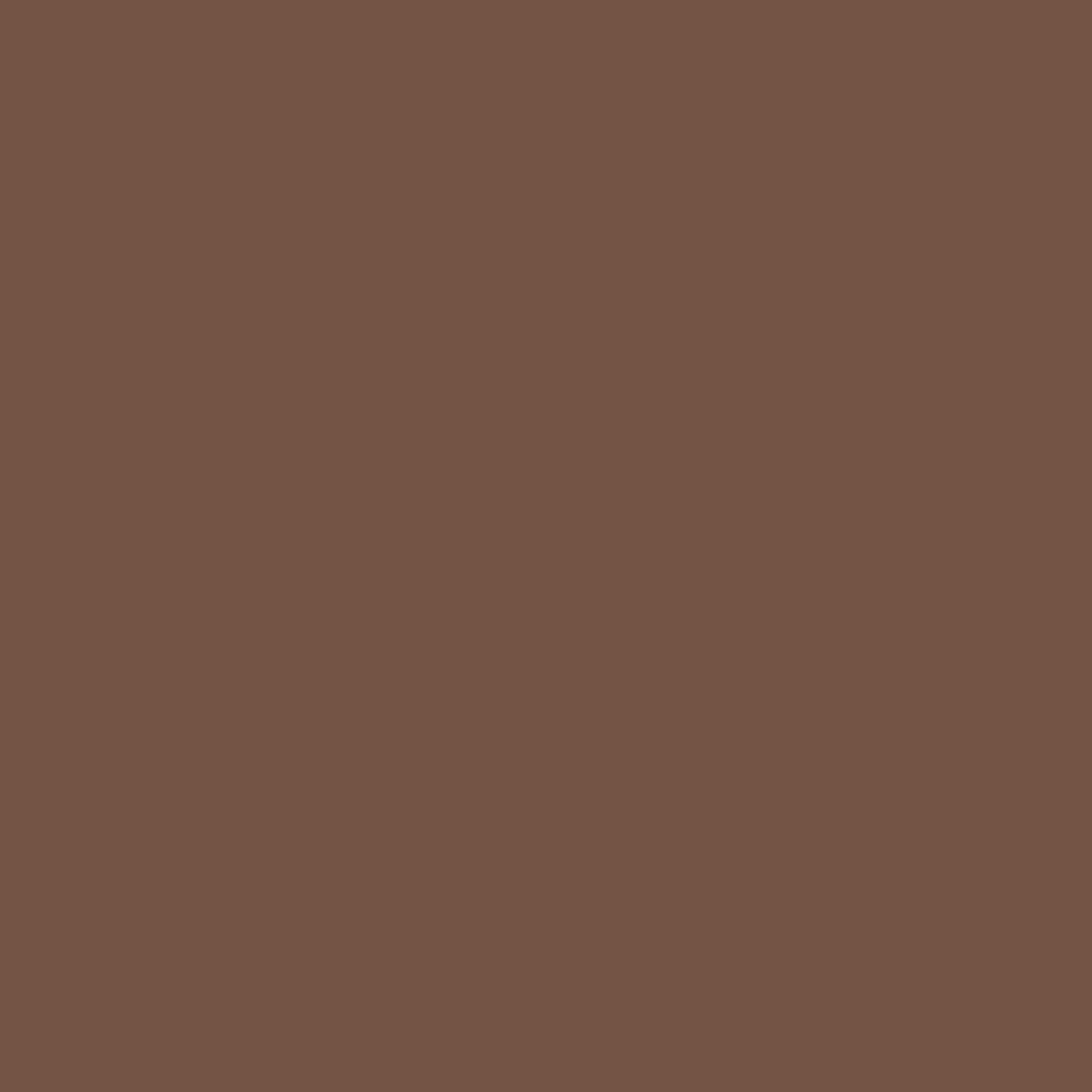 Solid Aztec Brown (September Pre-Order) - Fabric