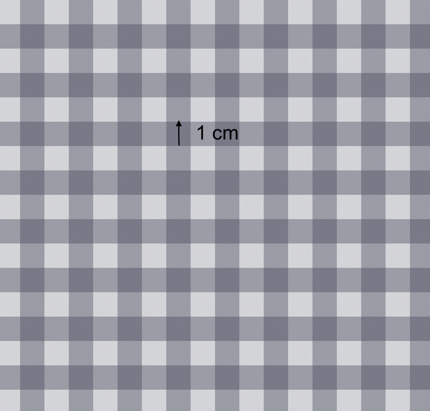 Boho Bear Blue Grey Gingham - Minky