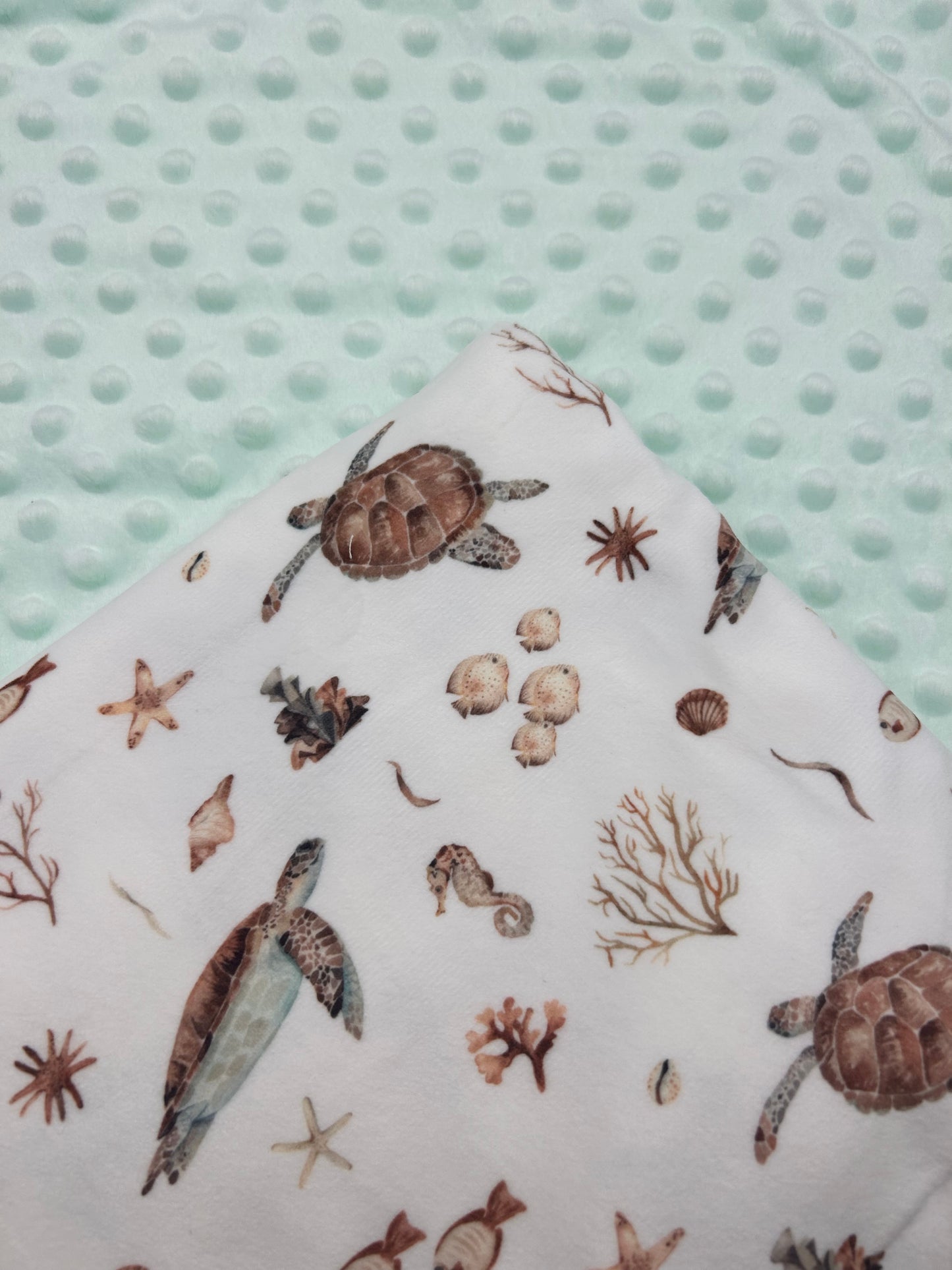 Turtles (September Pre-Order) - Fabric