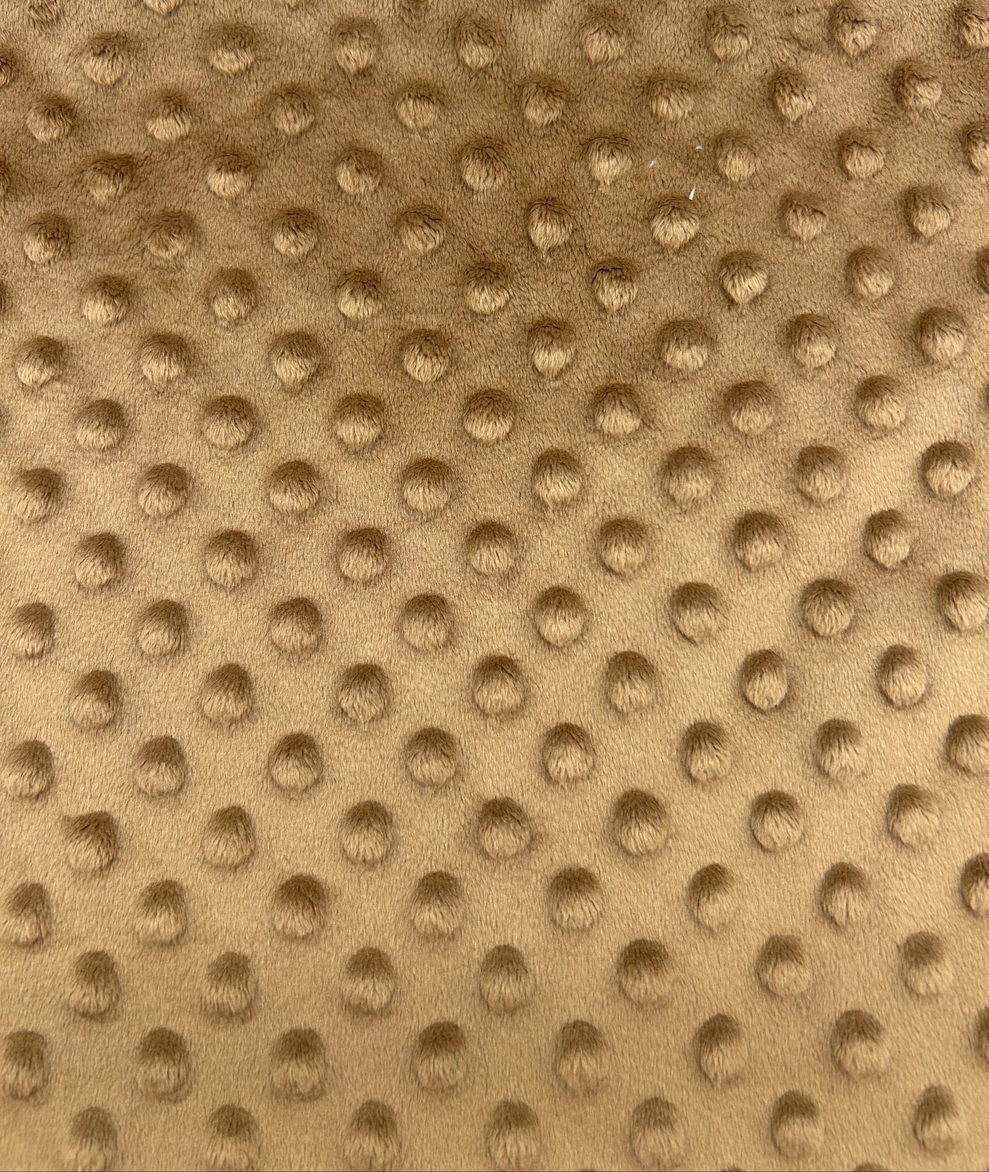 Premium Minky Dot Fabric - Champagne Beige