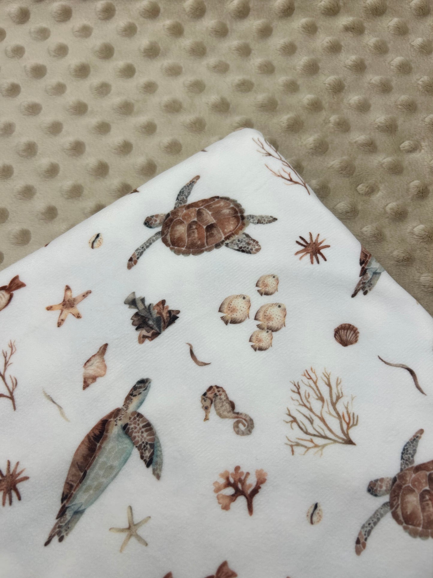Turtles (September Pre-Order) - Fabric