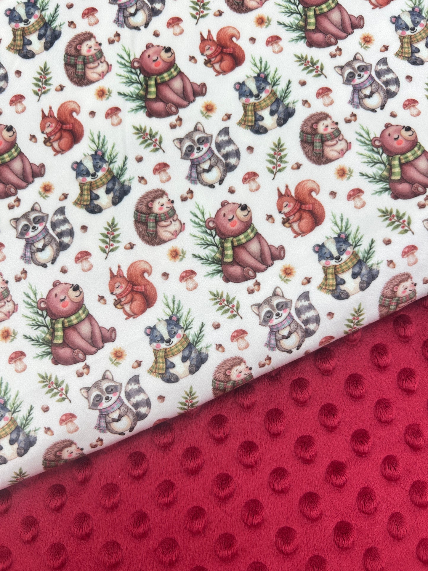 Warm Woodland Creatures (July Pre-Order) - Fabric