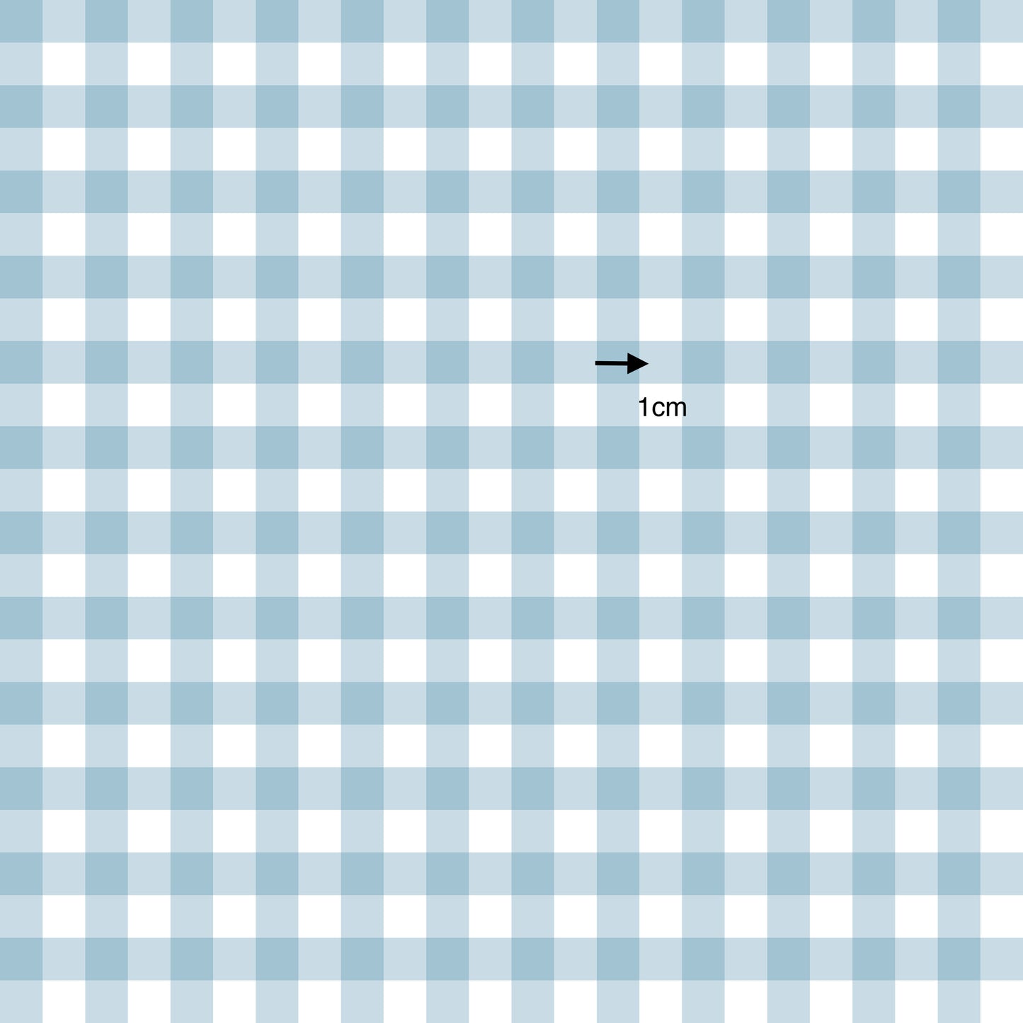 Gingham Airborne (September Pre-Order) - Fabric