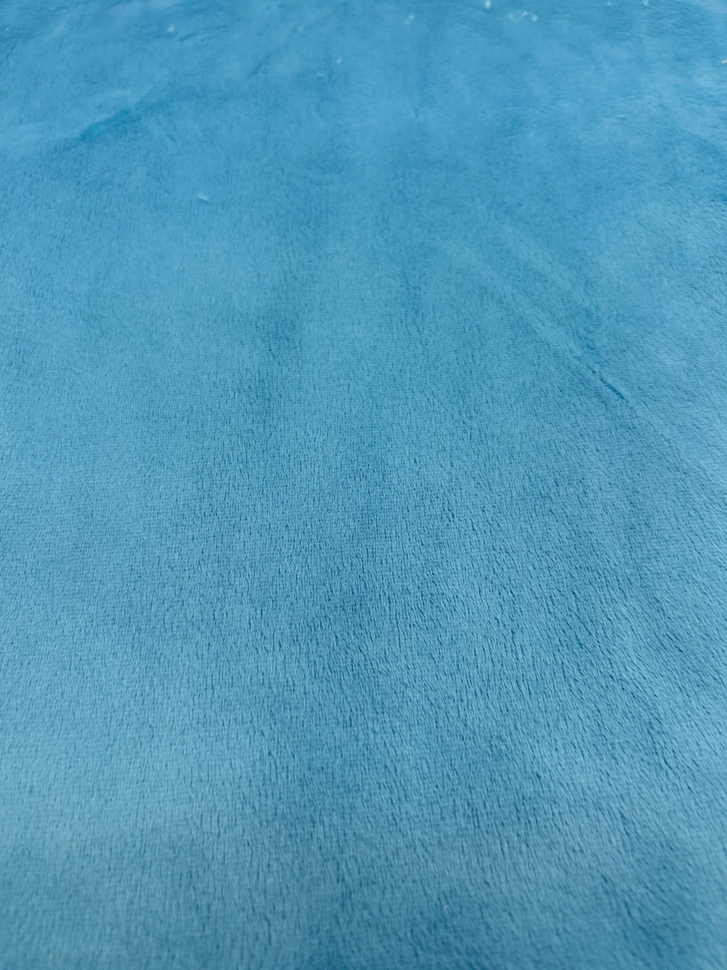 Premium Smooth Minky Fabric - Delphinium