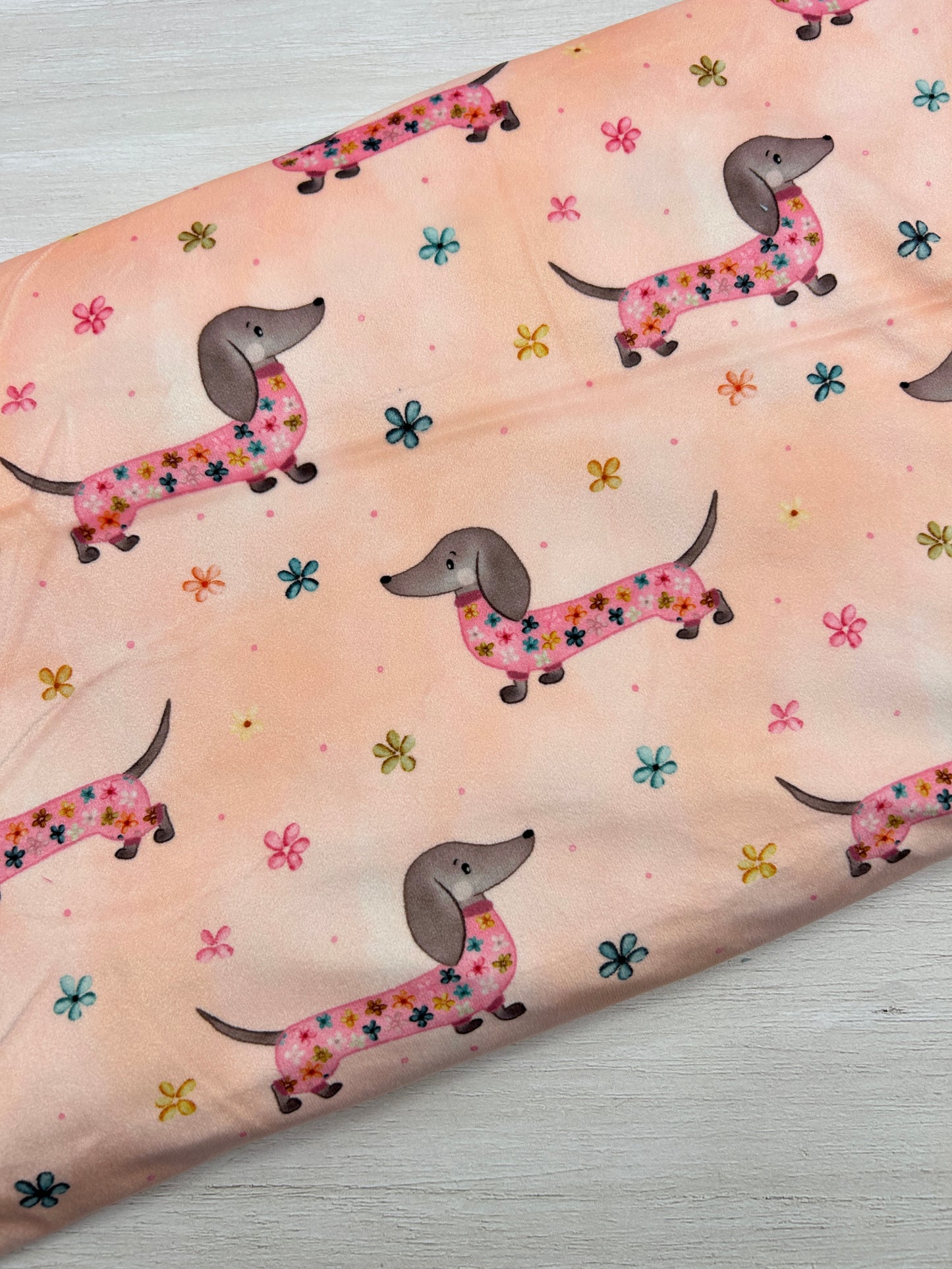 Delicate Daschund on Peach - Minky Fabric