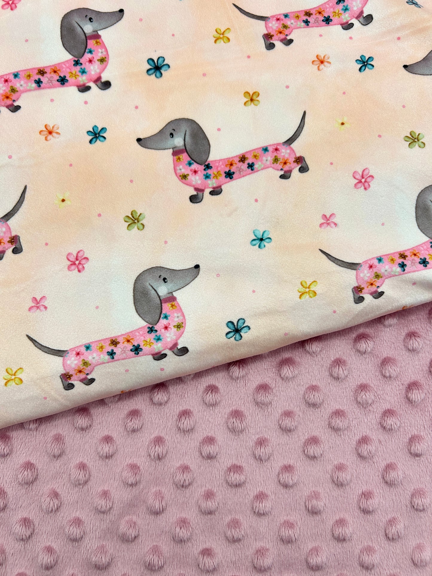 Delicate Daschund on Peach - Minky Fabric