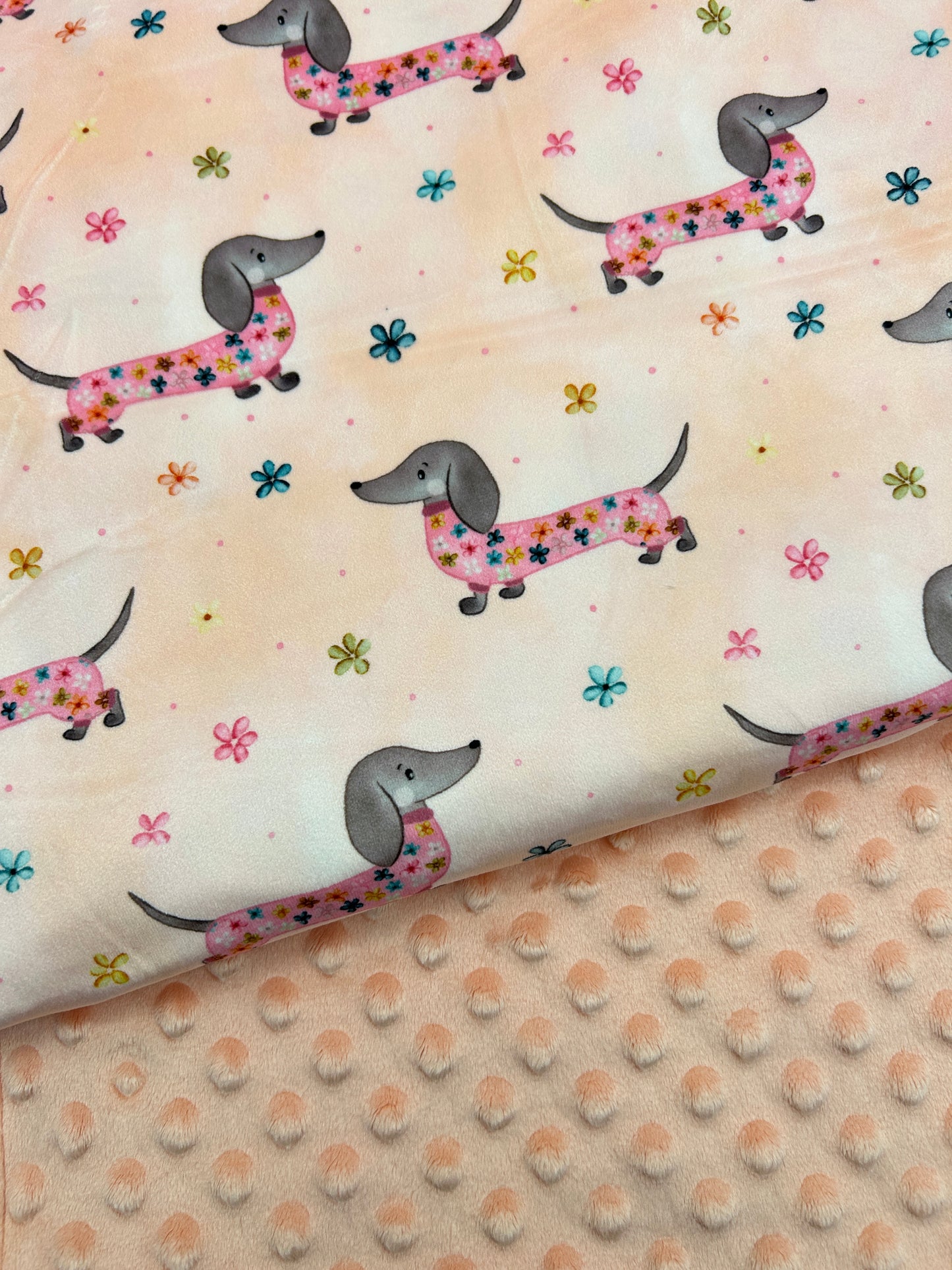 Delicate Daschund on Peach - Minky Fabric