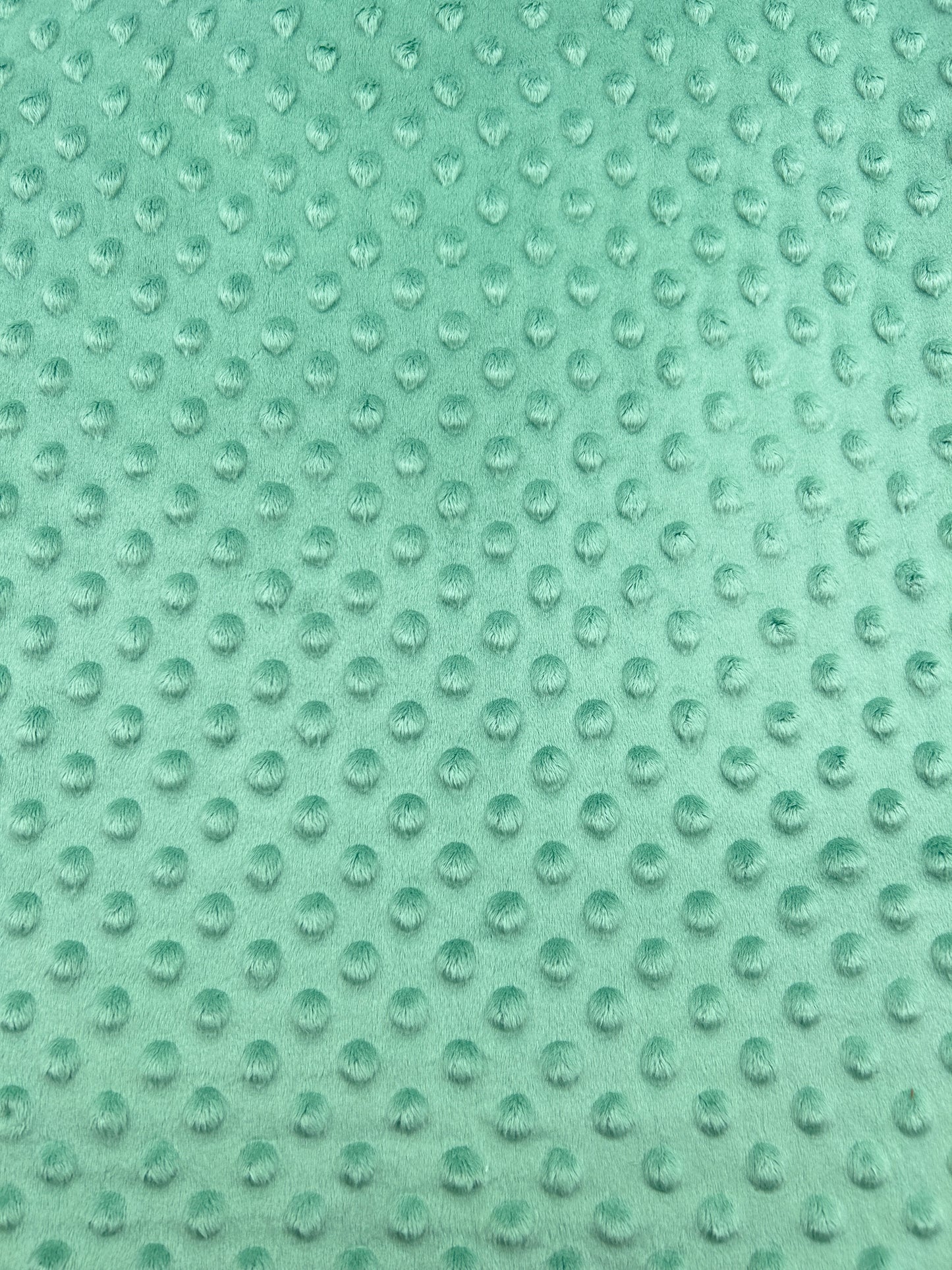 Premium Minky Dot Fabric - Feldspar