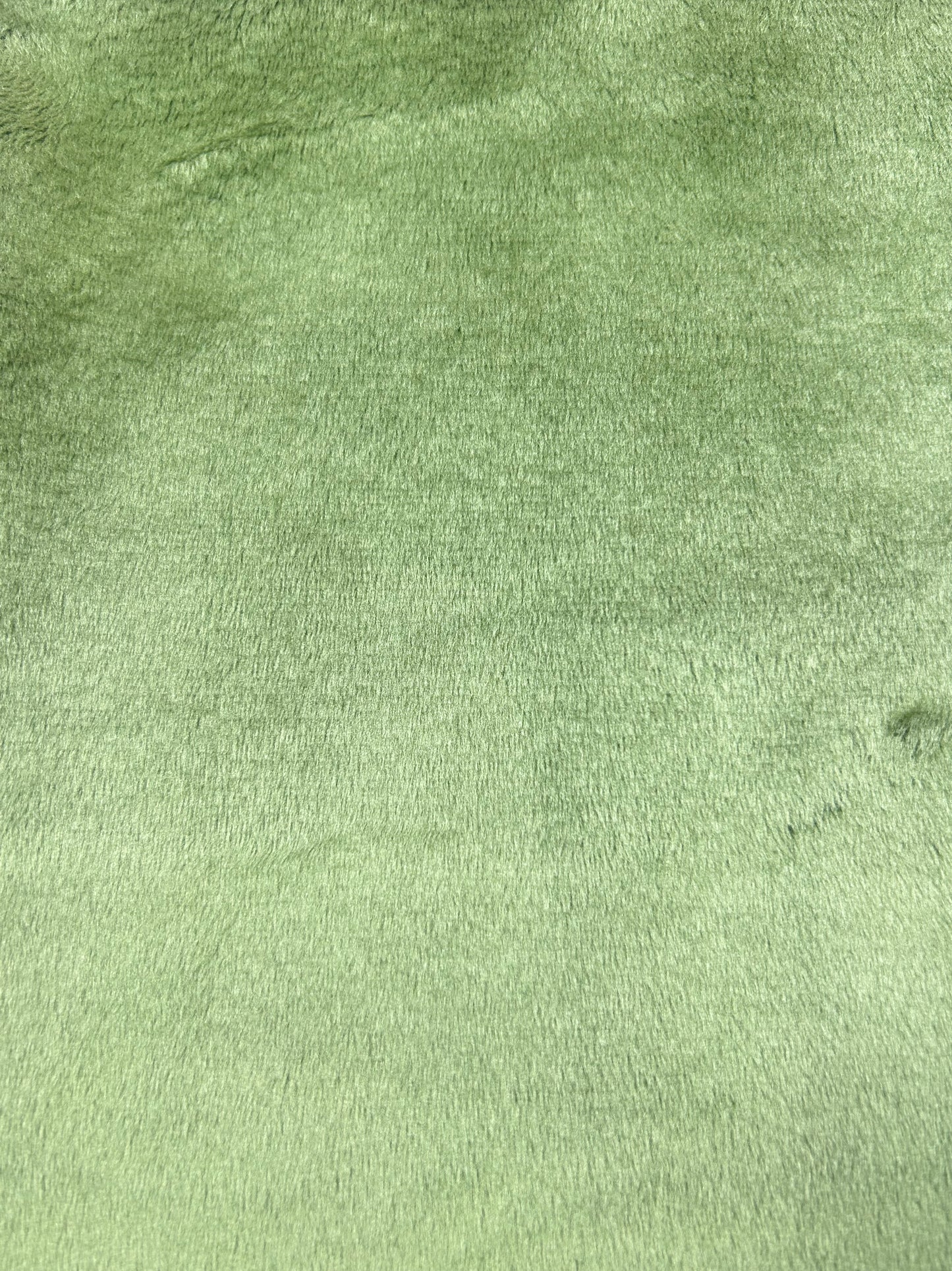 Premium Smooth Minky Fabric - Olive Branch