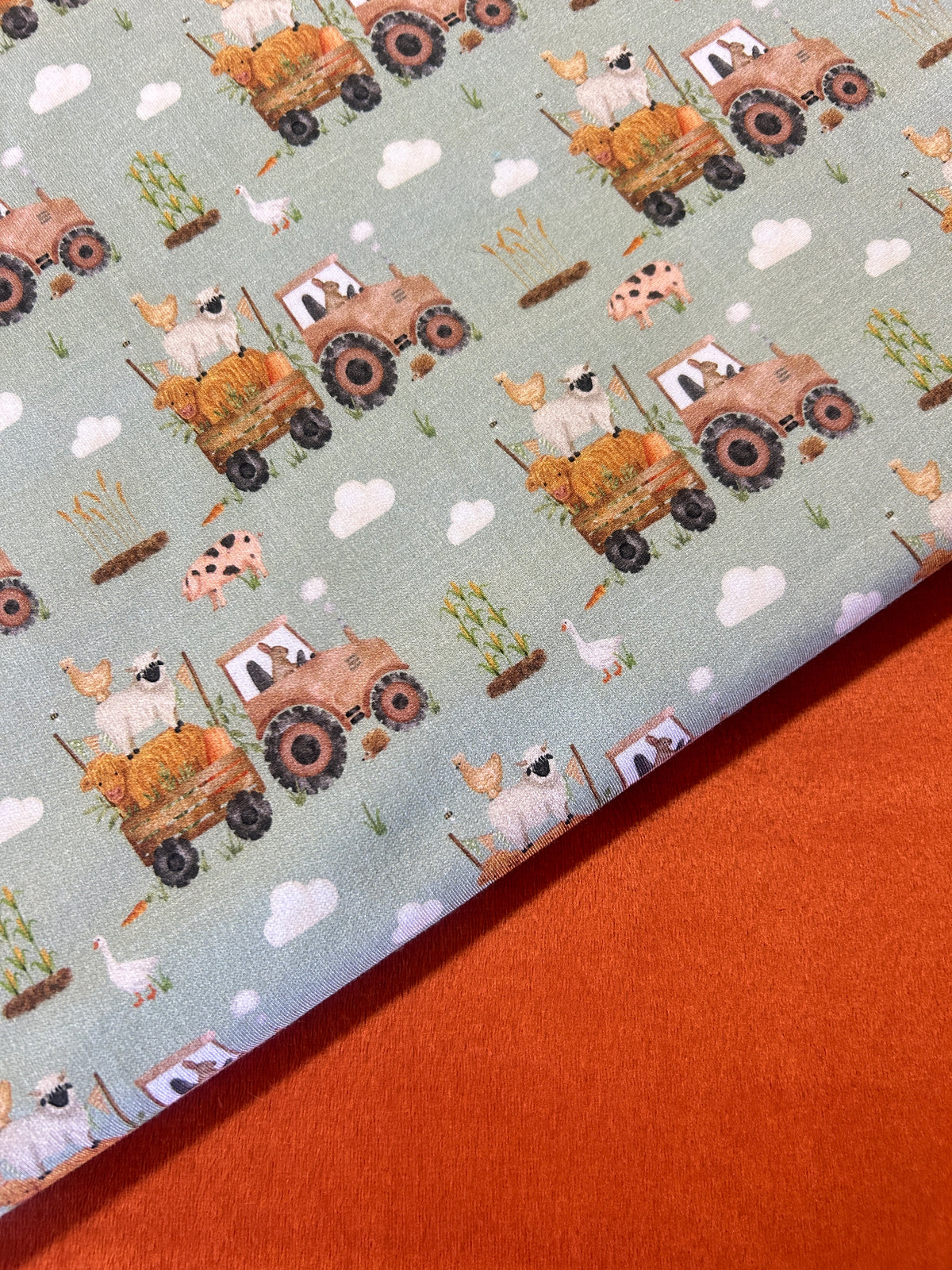 Premium Smooth Minky Fabric - Rust