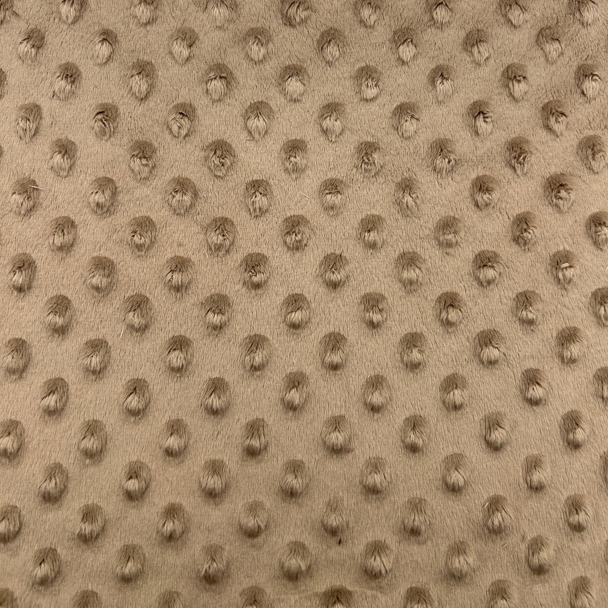 Premium Minky Dot Fabric - Warm Taupe