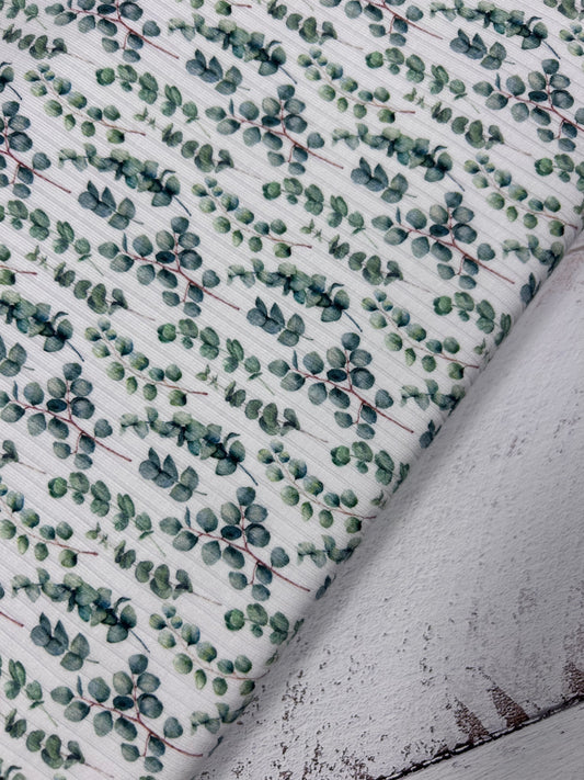 Eucalyptus - Rib Knit Fabric