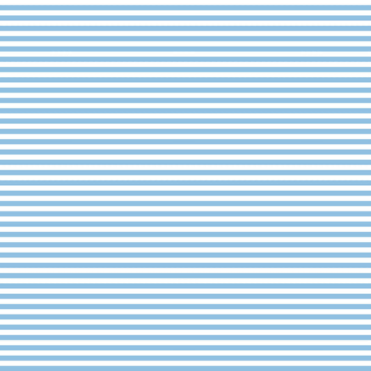 Baby Blue Stripes (September Pre-Order) - Fabric