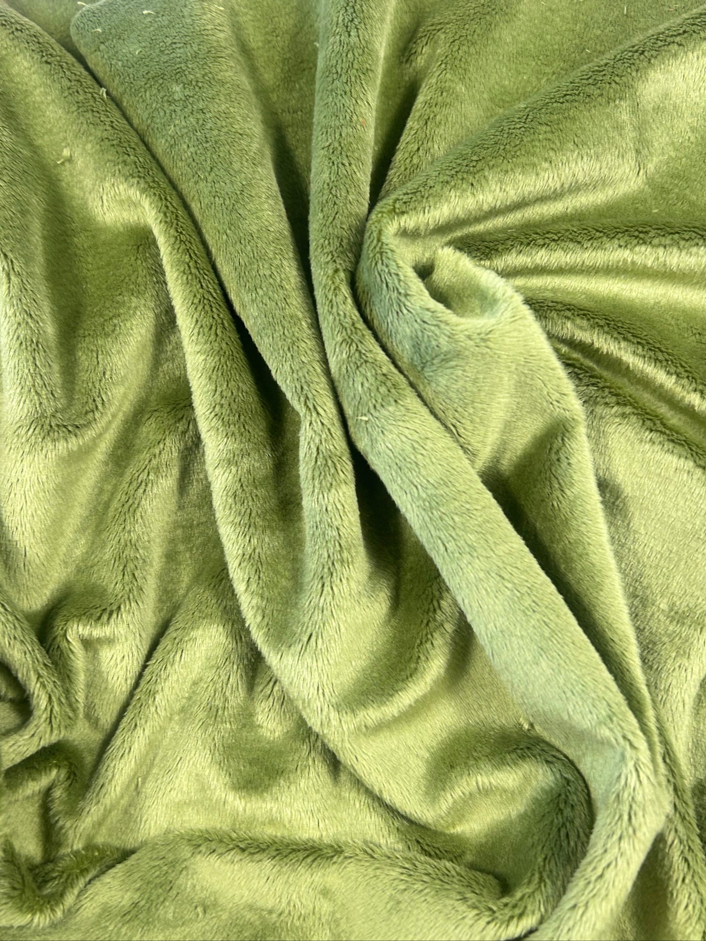 Premium Smooth Minky Fabric - Olive Branch
