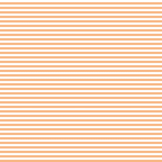 Orange Stripes (September Pre-Order) - Fabric