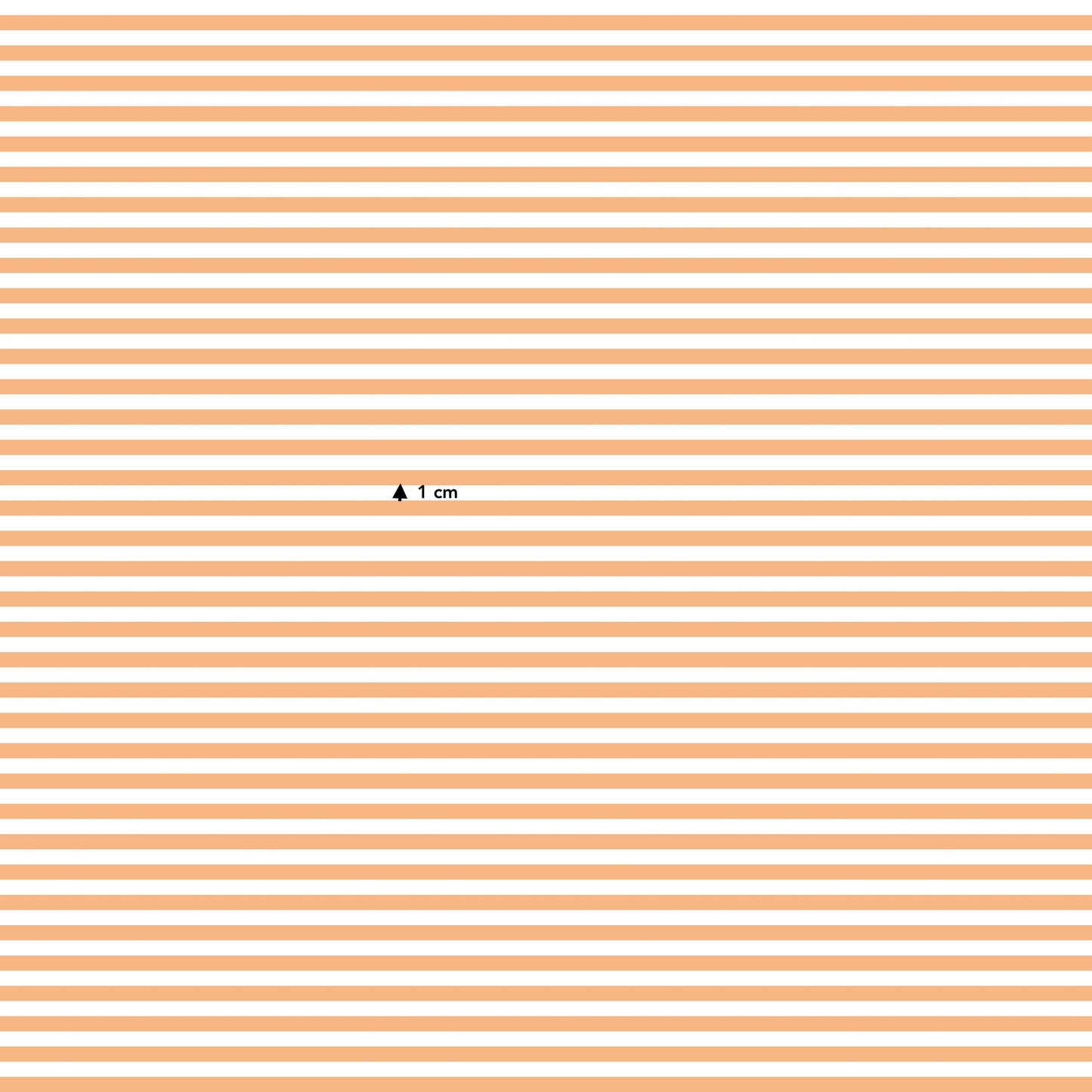 Orange Stripes (September Pre-Order) - Fabric