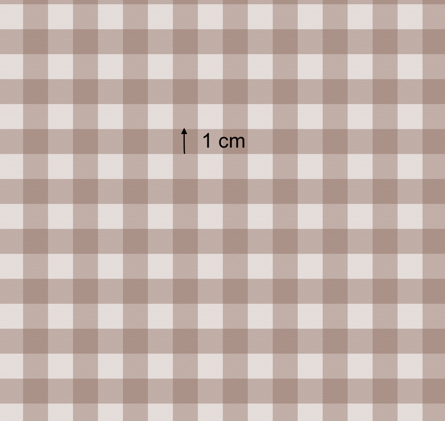 Boho Bear - Brown Gingham (September Pre-Order) - Fabric