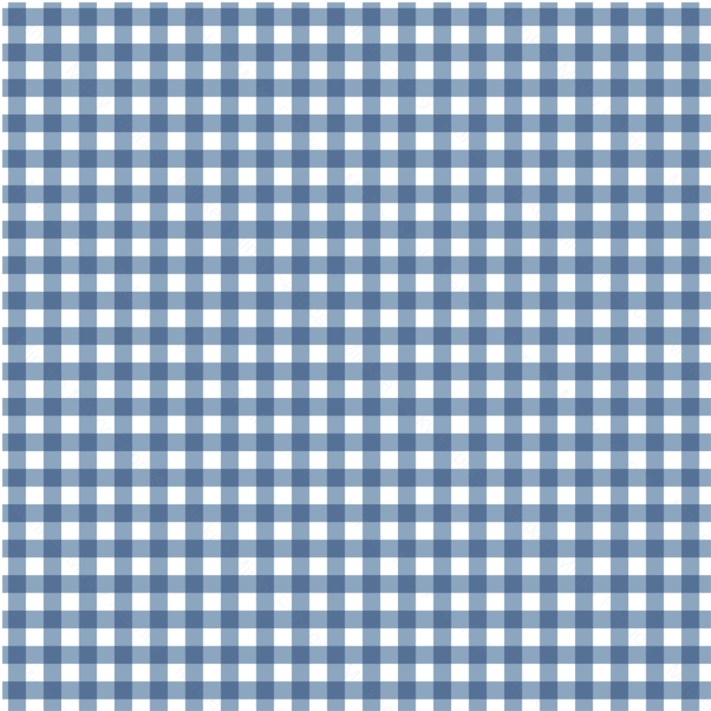 Blue Denim Gingham (August Pre-Order) Digital Fabric Preorder