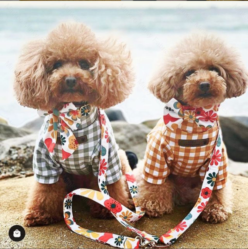 Sage Gingham (January Pre-Order) - Fabric Digital Preorder